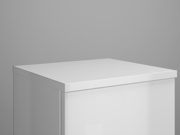 Burgbad Cover plate for half-height cupboard, same decor as front, wid...